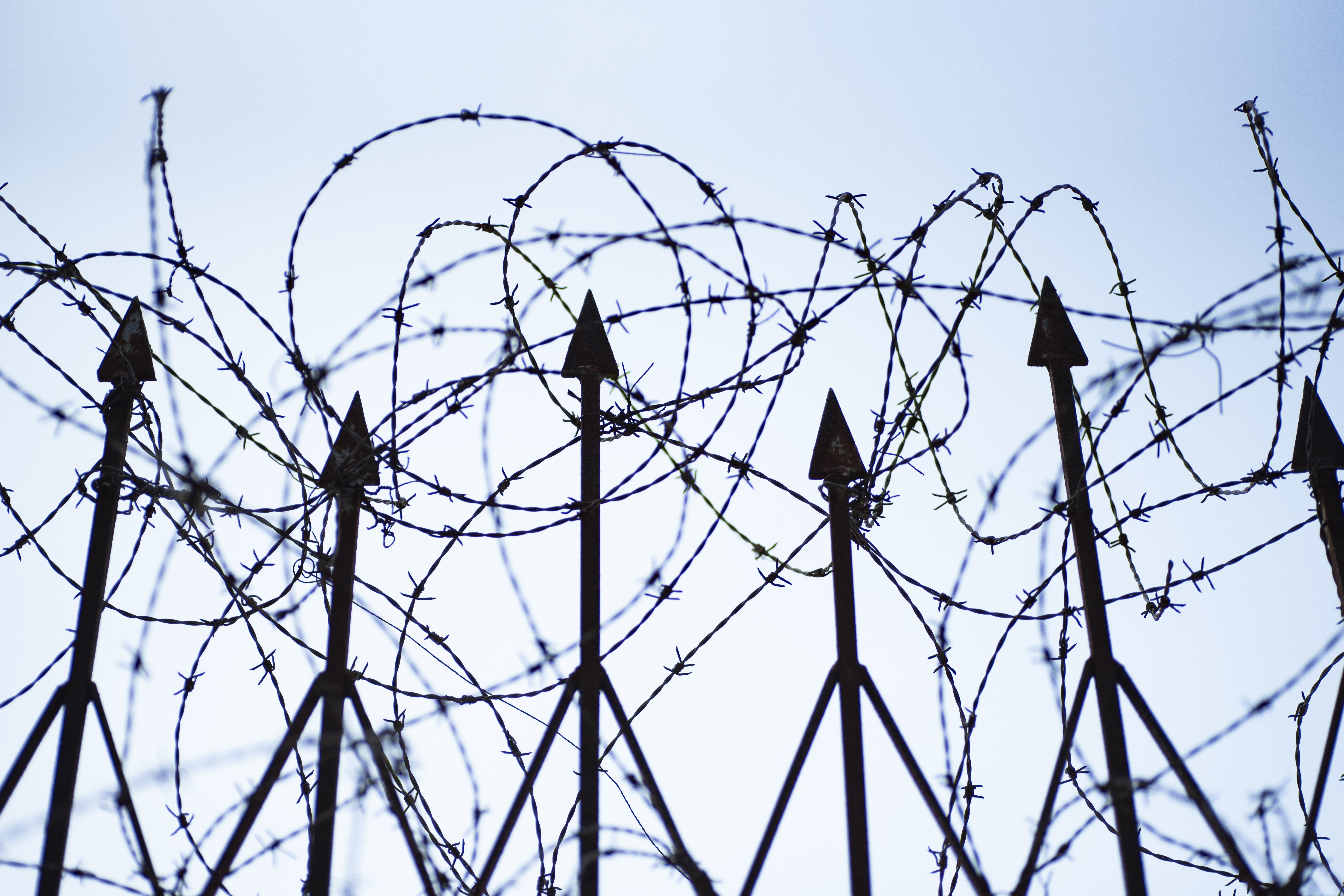 a barbed wire fence 
